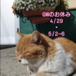 20260427シロちゃんGW